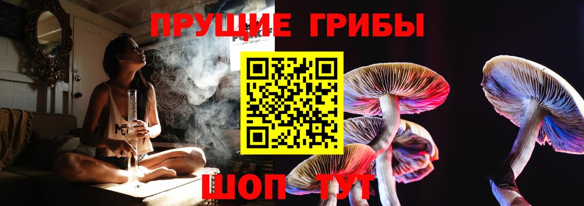 купить  сайты  Псилоцибиновые грибы Psilocybe  Вход с VPN  Коломна 